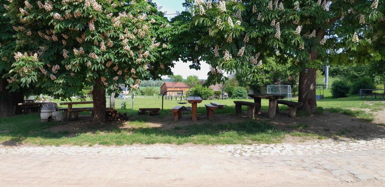 Ubytovani Na Sklepe U Prochazku Pouzdrany Buitenkant foto